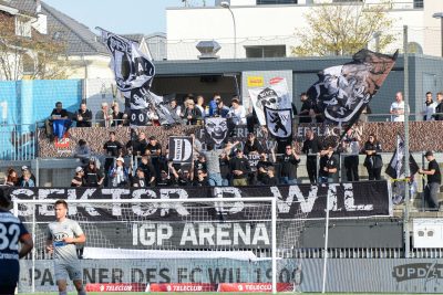 Sieben Heimspiele im November